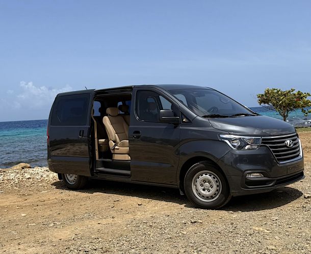 Hyundai H1 | 12 Persoons