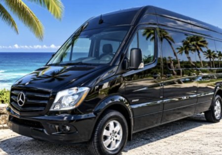 MERCEDES BENZ SPRINTER (12 SEATER)